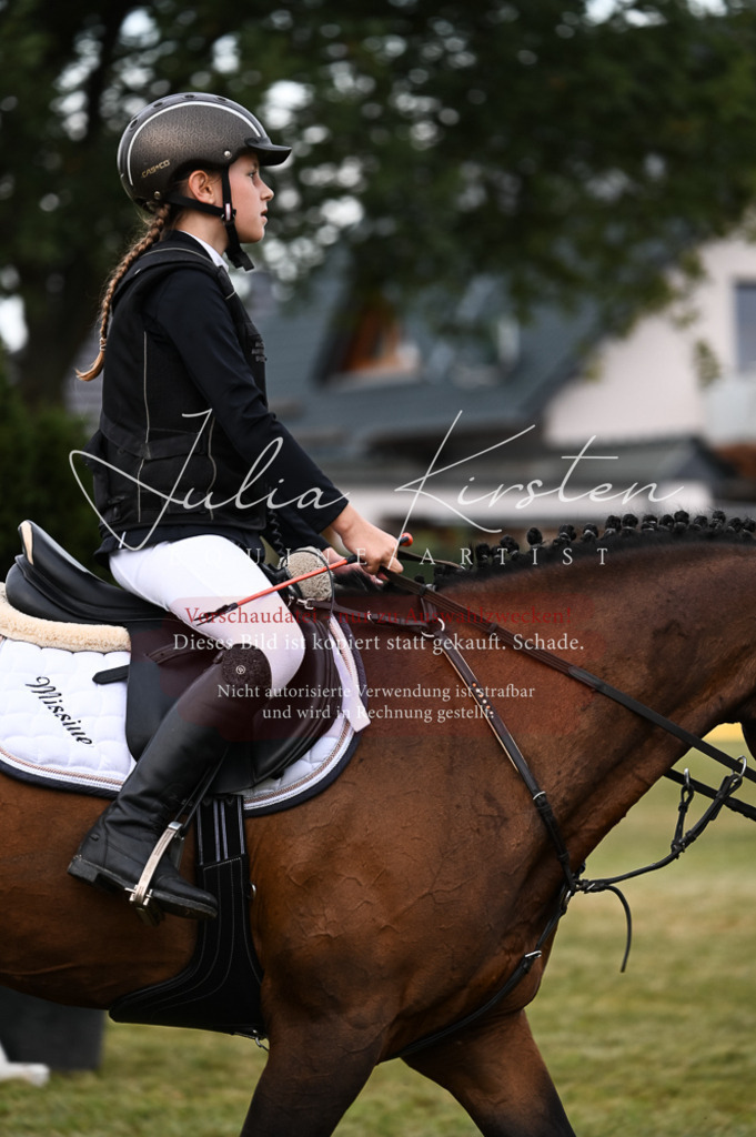 DSC_5431 | Pferde- und Turnierfotografie in Westsachsen. Pferdeportraits, Auftragszeichnungen und intuitive Kunst.