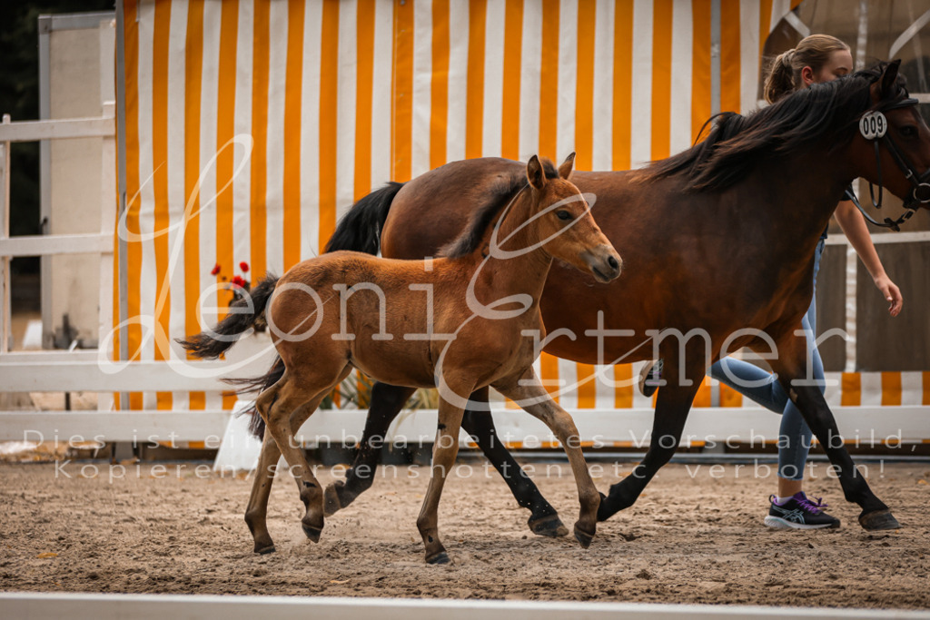 02.DoSR00079 | Leoni Ertmer Photography - Realisiert mit Pictrs.com