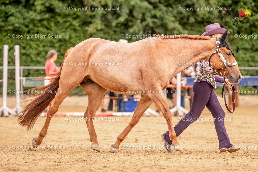 LMS06728 | BS-foto