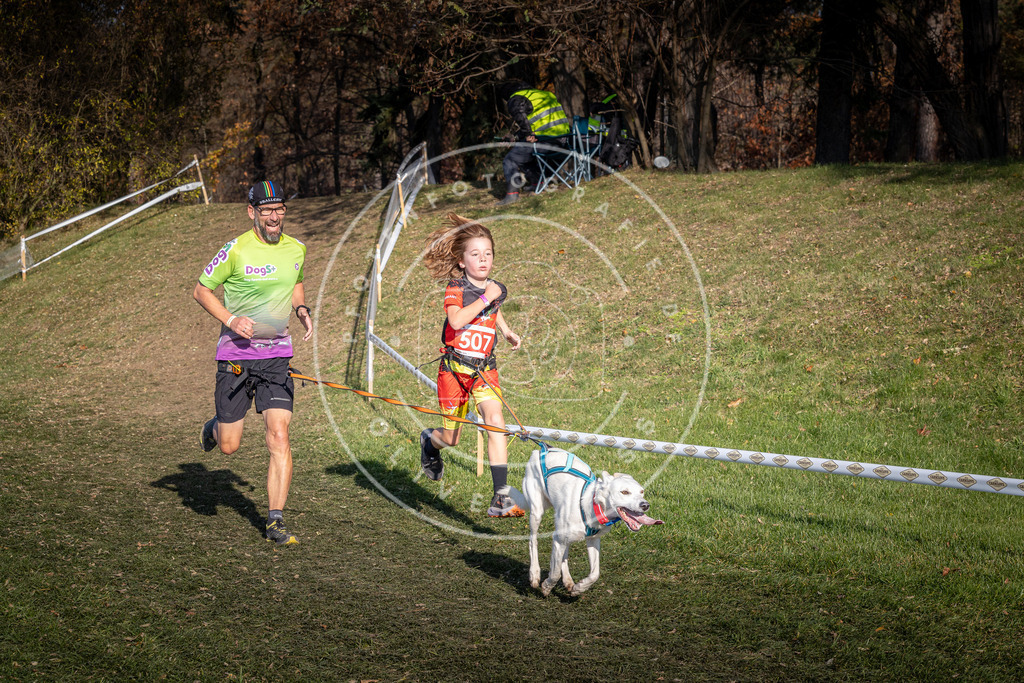CaniXpix_0L8A8439 | Hundefotografie, Tierfotograf, Pfotenfotografie, Fotoshooting Hund, Hunde Portrait, Hundesport, Hundeportraits, Heideshooting, Hunde, Sportfotograf, Hundefotograf, Turnierhundsport, THS,  - Realisiert mit Pictrs.com
