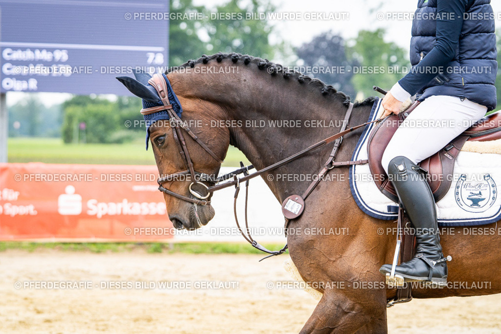 DSC09758 | Pferdegrafie