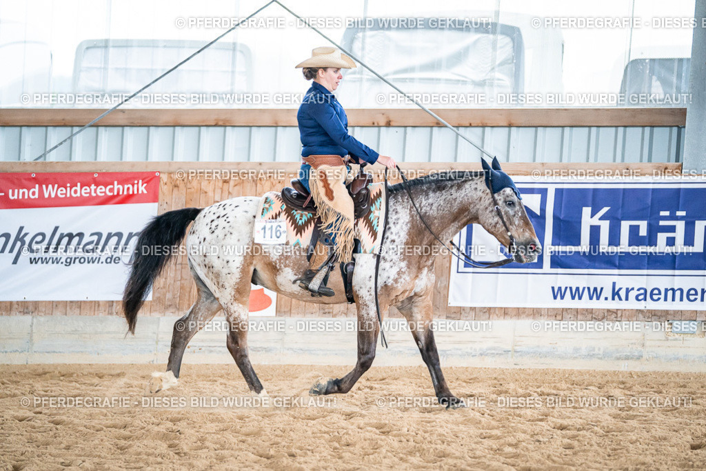 DSC03833 | Pferdegrafie