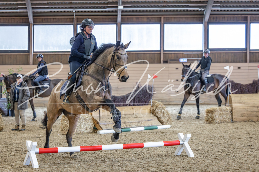 20260222-_3LI1890 | Tierfotografie Pferde, Hunde, Katzen, Haustiere.
Turnierfotografie Reitturniere, Reiten, Springreiten, Dressur in Hanau, dem Main-Kinzig-Kreis und dem Rhein-Main- Gebiet um Frankfurt