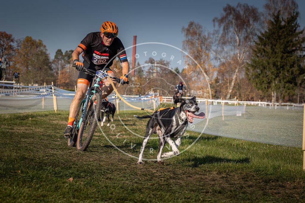 CaniXpix_0L8A8156 | Hundefotografie, Tierfotograf, Pfotenfotografie, Fotoshooting Hund, Hunde Portrait, Hundesport, Hundeportraits, Heideshooting, Hunde, Sportfotograf, Hundefotograf, Turnierhundsport, THS,  - Realisiert mit Pictrs.com