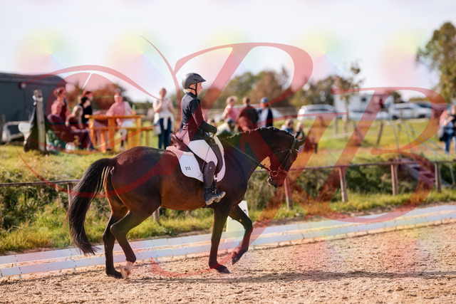 2026_10_03_Siefer-Hof_133823_Z81_95811722 | Professionelle Reitsport-, Turnier- und Eventfotografie von Robert Broda. Galerien mit ausgewählten und bearbeiteten Bildern direkt online ansehen und bestellen.
