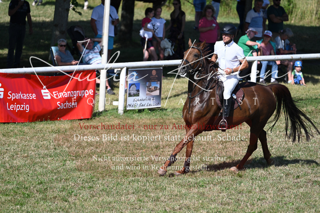 DSC_2275 | Pferde- und Turnierfotografie in Westsachsen. Pferdeportraits, Auftragszeichnungen und intuitive Kunst.