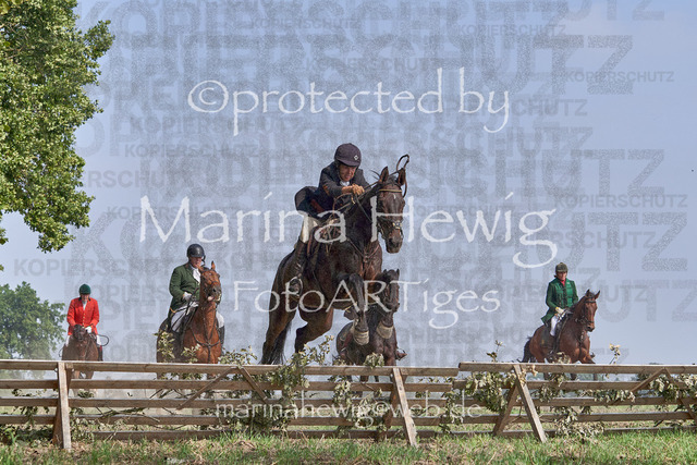 09-23 Jagd Perdöl_MCH0076_Marina Hewig | Fotografie, FotoArt, PferdesportArt, Pferdesportfotografie, Landschaftsfotografie, Reisefotografie, Reise, Pferde - Realisiert mit Pictrs.com