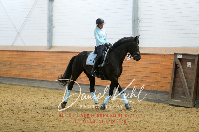 IMG_3252 | Turniersportfotografie; Pferdefotografie; Dressurfotografie