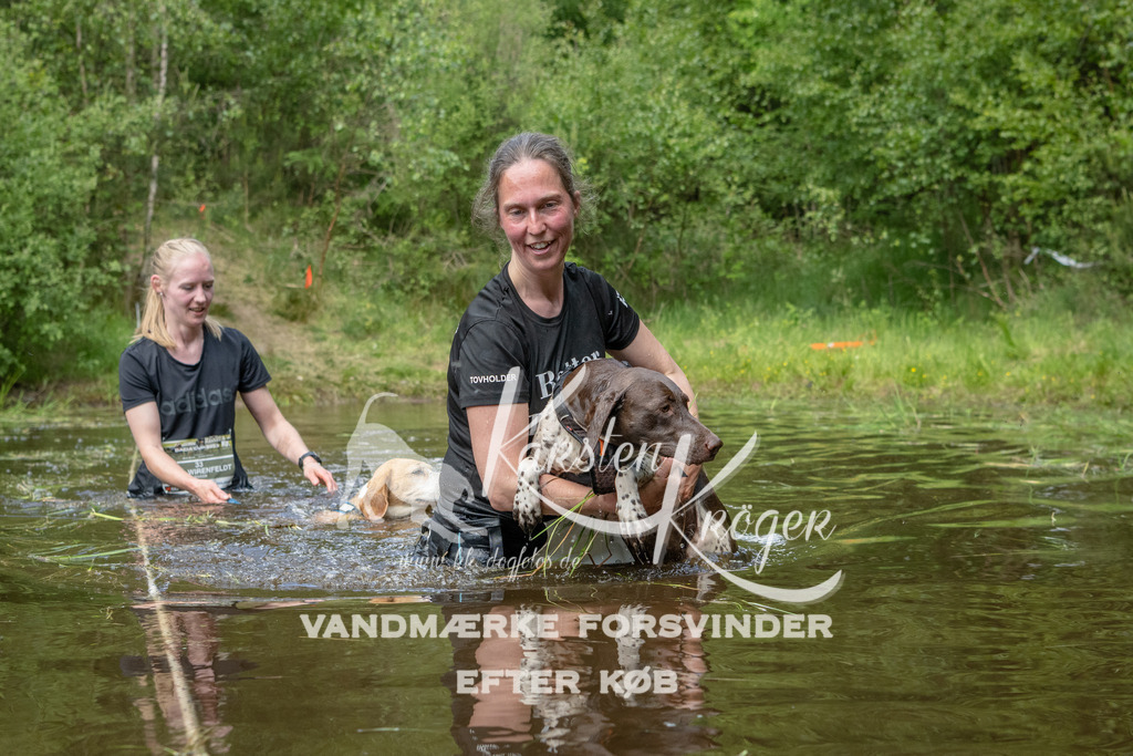 1242DKK993343 | kk-dogfotos