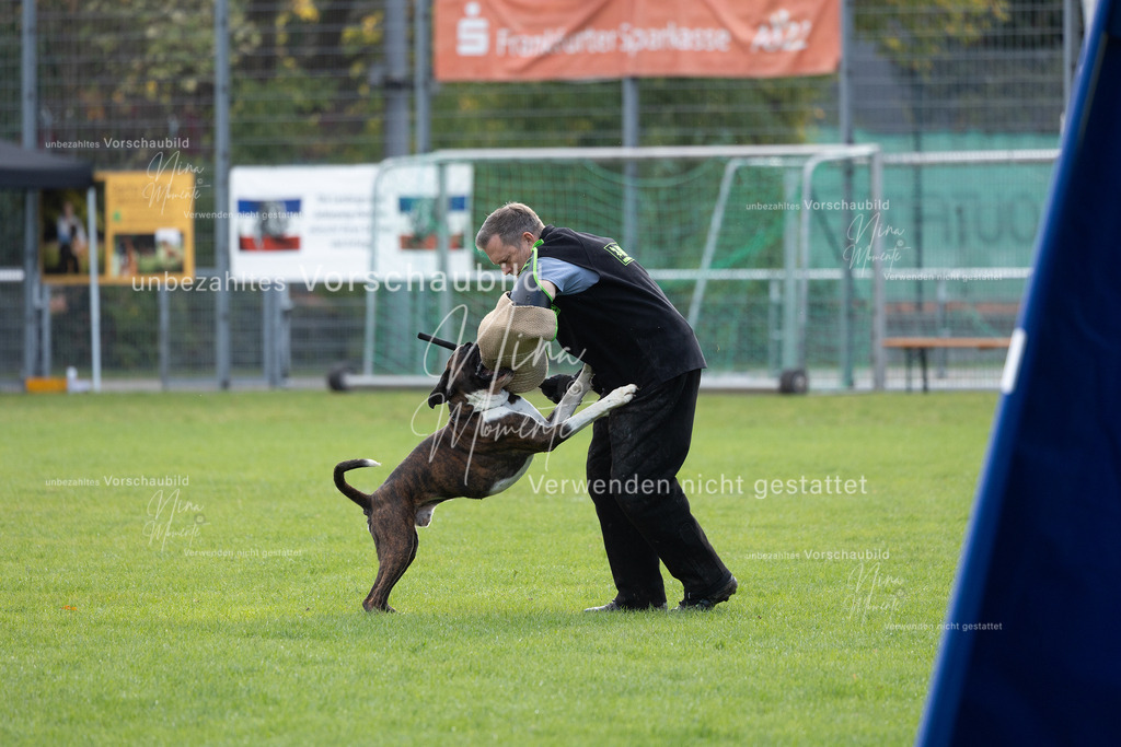 _16A6548 | Einzigartige Fotos von Hunden & Menschen –Actionfotos, Portraits, Vereinsaufnahmen & Paarshootings – authentisch, lebendig & mit Herz.