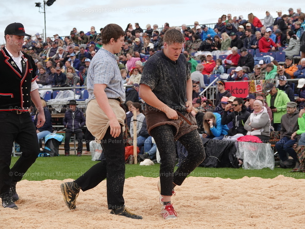 DSC06353 | Schwingen - Realisiert mit Pictrs.com