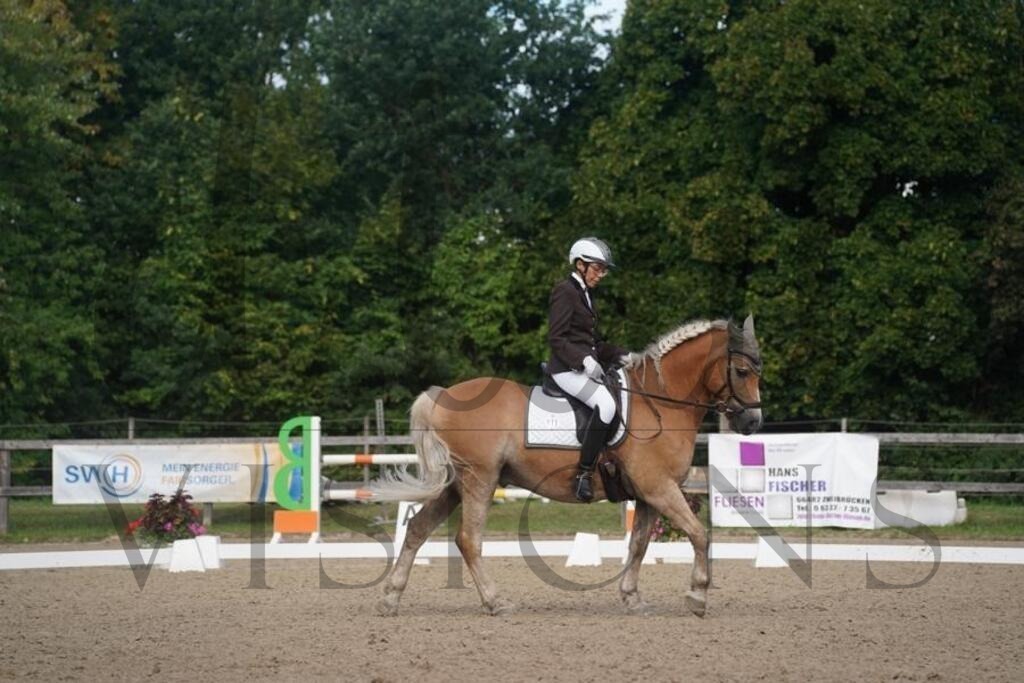 rveinoedsamstag (540) | d.tail Visions - Shop - Realisiert mit Pictrs.com