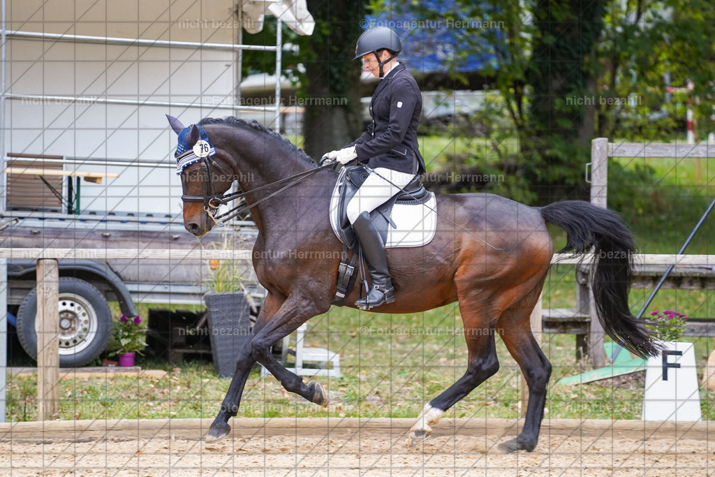 20231007-SN_00937 | Professionelle Turnier- und Reitsportfotografie - mit dem Finger am Auslöser. Pferdebilder aus dem Reitsport von den Turnierfotografen  Bayern , Pferdefotograf Bayern, Pferdeshooting Turnierbilder, Hochzeitsfotograf, Eventfotograf, Hochzeitsbilder