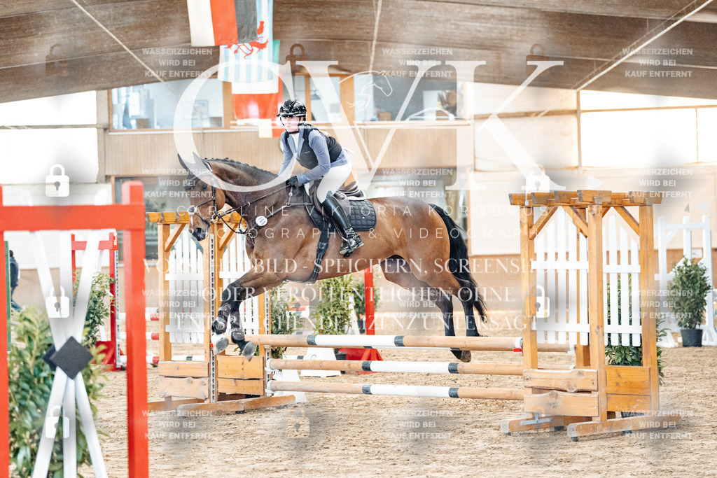 CK903702 | Turnierfotografie Pferdefotografie Trier Rheinland-Pfalz Pferdesport Reitsport Tierfotografie Sportfotografie Pferdevideo Pferdevideografie Equestrianvideography equestrianphotography  - Realisiert mit Pictrs.com