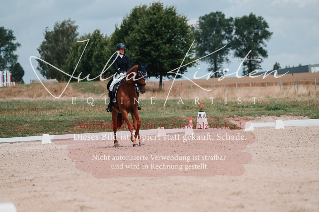 DSC_4230 | Pferde- und Turnierfotografie in Westsachsen. Pferdeportraits, Auftragszeichnungen und intuitive Kunst.
