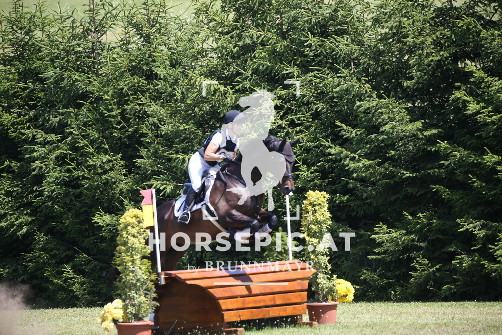 DL2Q1308 | Willkommen bei Brunnmayr - Design & Fotografie – Ihrem Spezialisten für Reitturniere und Pferdeveranstaltungen in Oberösterreich, Salzburg und Bayern! Seit über 17 Jahren sind wir leidenschaftlich dabei.