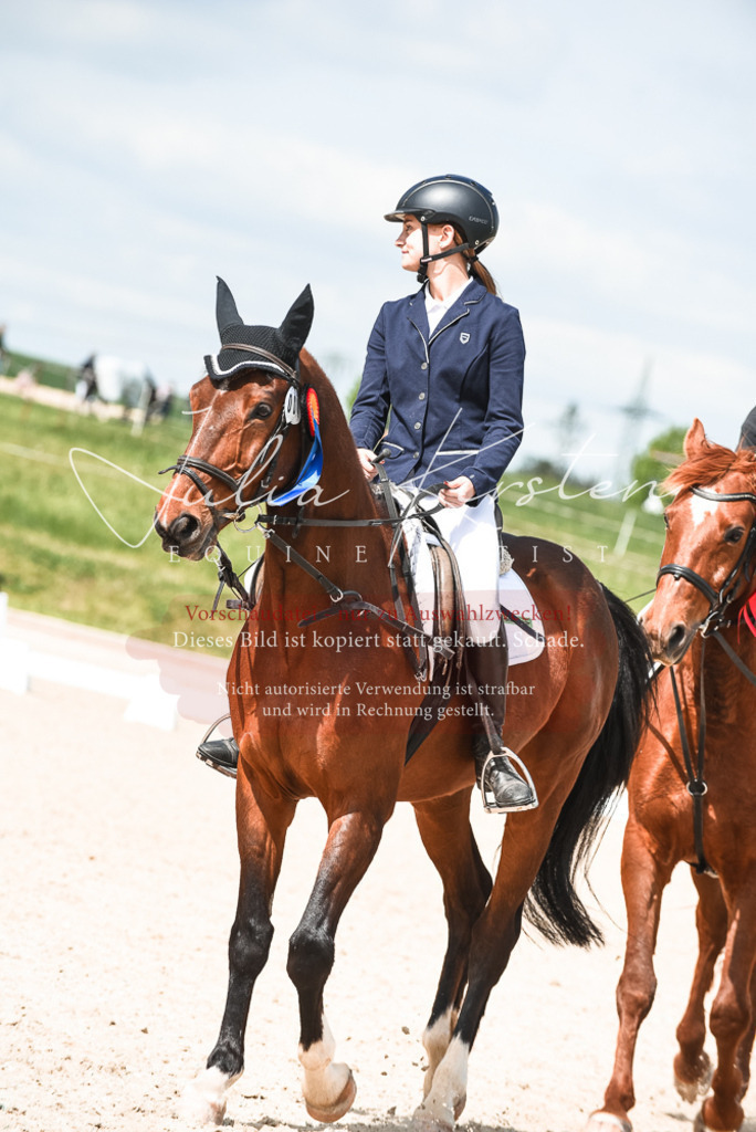 20230518_JK-Röhrsdorf-11-1059 | Pferde- und Turnierfotografie in Westsachsen. Pferdeportraits, Auftragszeichnungen und intuitive Kunst.