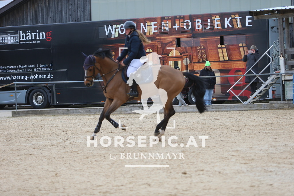 DL2Q5972 | Willkommen bei Brunnmayr - Design & Fotografie – Ihrem Spezialisten für Reitturniere und Pferdeveranstaltungen in Oberösterreich, Salzburg und Bayern! Seit über 17 Jahren sind wir leidenschaftlich dabei.