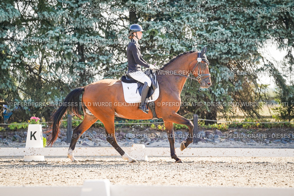 DSC09876 | Pferdegrafie