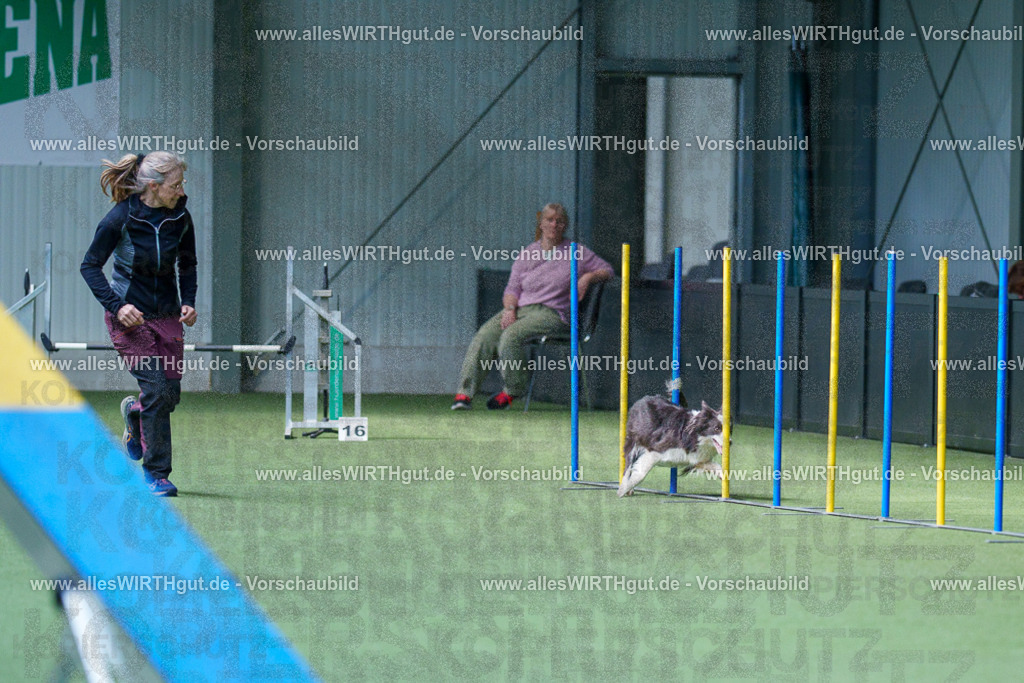 @allesWIRTHgut_Tierfotografie - www.allesWIRTHgut.de - 2604251439-7R505234 | Professionelle Tierfotografie in Mönchengladbach von Daniel Wirth (allesWIRTHgut). Liebevolle & natürliche Bilder von Hunden & Katzen für unvergessliche Erinnerungen.