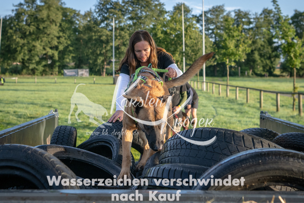 0810_ZZ90504 | kk-dogfotos