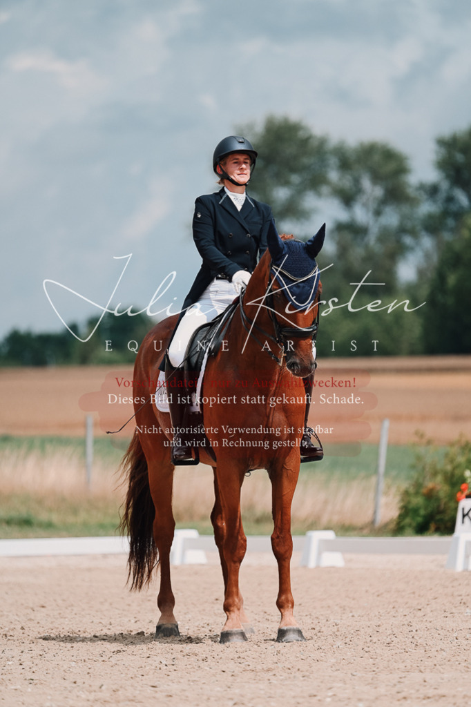 DSC_4200 | Pferde- und Turnierfotografie in Westsachsen. Pferdeportraits, Auftragszeichnungen und intuitive Kunst.