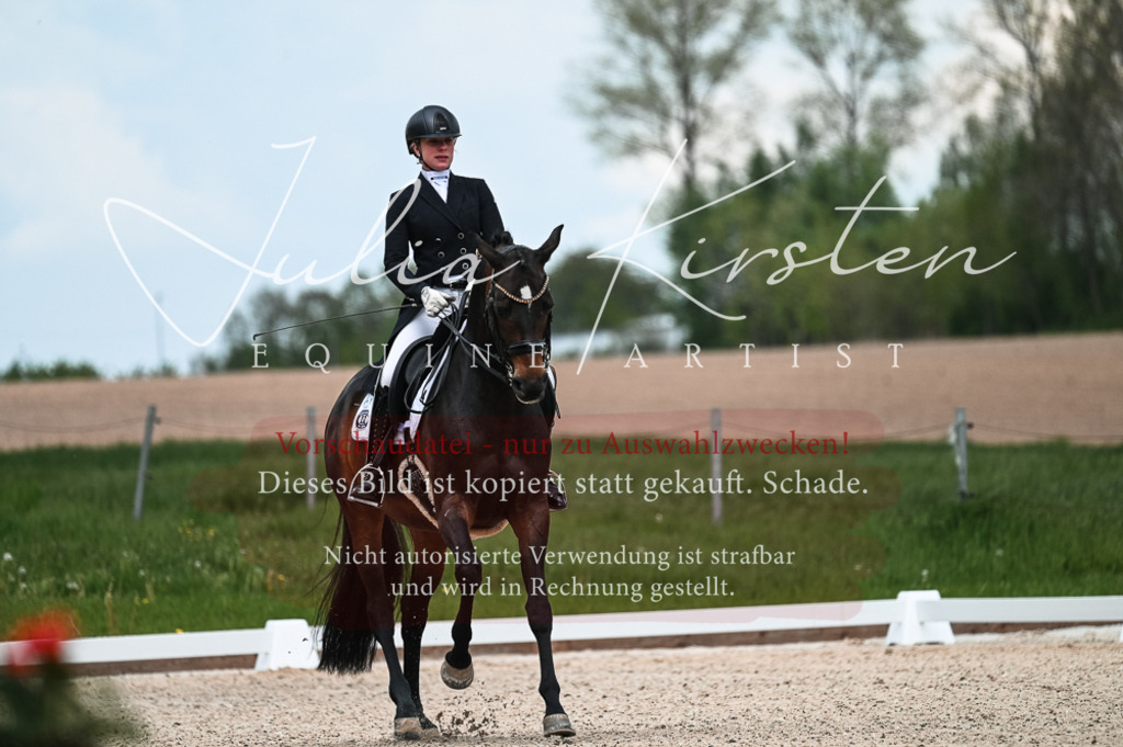 20230514_JK-Röhrsdorf-21-053 | Pferde- und Turnierfotografie in Westsachsen. Pferdeportraits, Auftragszeichnungen und intuitive Kunst.