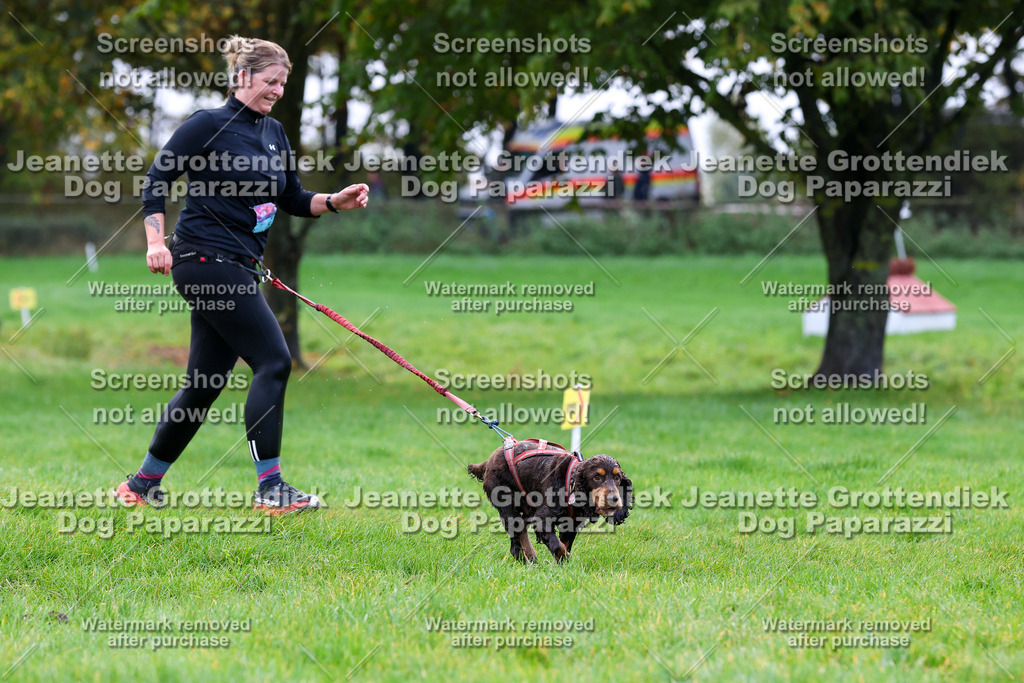 Dog Paparazzi -  SD1026-1176 | Dog Paparazzi Jeanette Grottendiek Fotografie & Videografie - Realisiert mit Pictrs.com