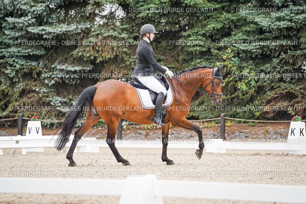 DSC01125 | Pferdegrafie