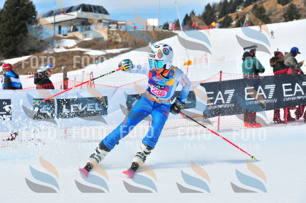 DSC_5948 | holidayphoto