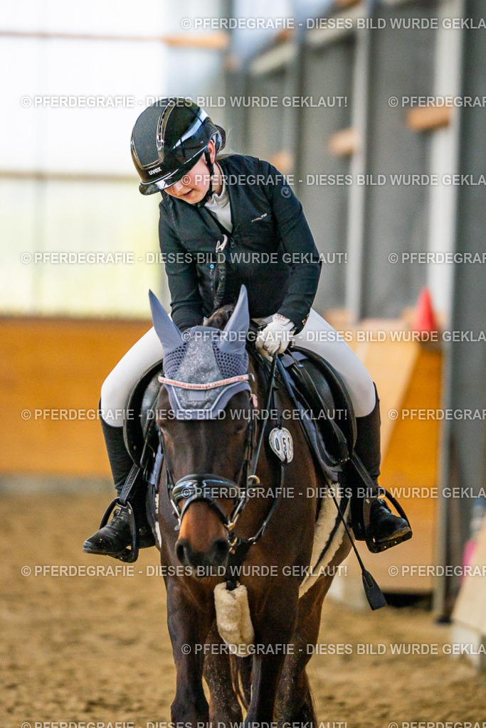 DSC00912 | Pferdegrafie