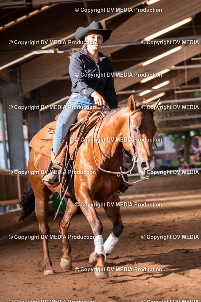 Erbach Tag 2-1111 | dv-media-shop - Realisiert mit Pictrs.com