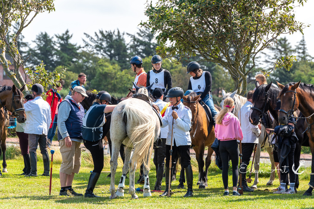 EAF_7286 | Eilun-Art-Fotografie Levke Martens, ihre Fotografin für Immobilien- und Landschaftsfotografie auf Föhr, Föhrer Motive als Poster, Leinwand, hinter Acrylglas oder stelle dir deinen eigenen Monatskalender zusammen, mit nur einem Klick