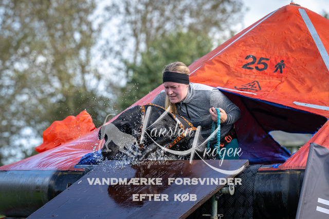 1330-92316 | kk-dogfotos