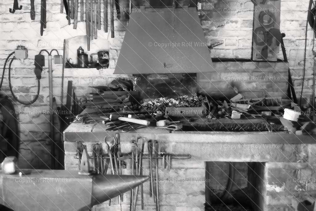 1D3A6755 | Rolf Wittke  - Realisiert mit Pictrs.com