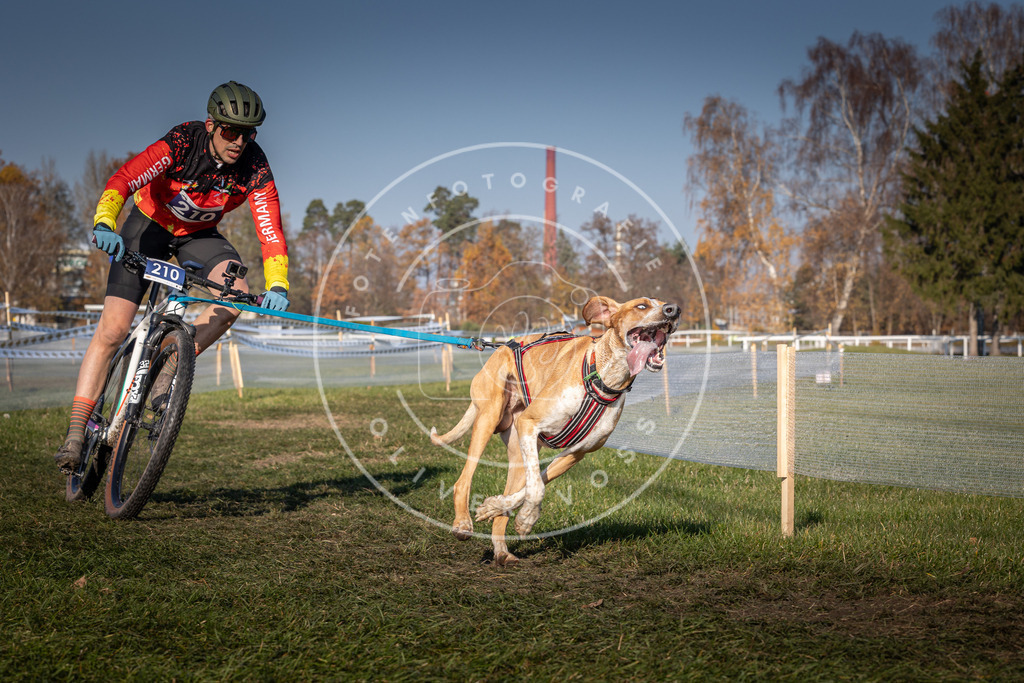CaniXpix_0L8A6173 | Hundefotografie, Tierfotograf, Pfotenfotografie, Fotoshooting Hund, Hunde Portrait, Hundesport, Hundeportraits, Heideshooting, Hunde, Sportfotograf, Hundefotograf, Turnierhundsport, THS,  - Realisiert mit Pictrs.com