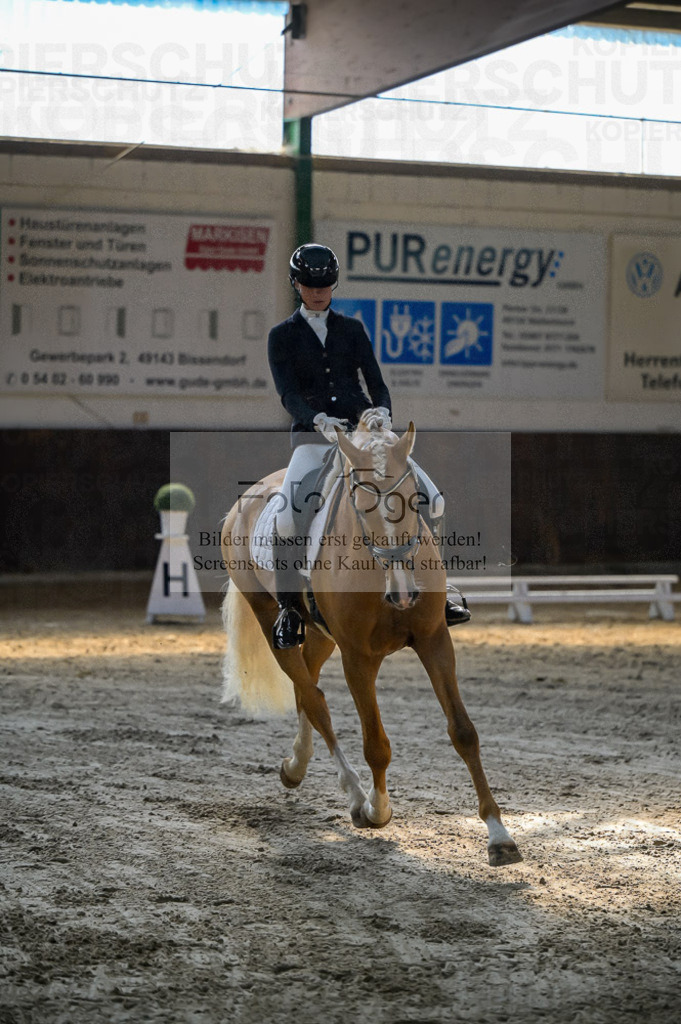 Reitturnier Voxtrup | Entdecke hochwertige Reitturnierfotos von Foto Oger. Professionell, emotional und authentisch – jetzt Lieblingsmomente im Shop bestellen.Deutschlandweite Turnierfotografie. - Realisiert mit Pictrs.com