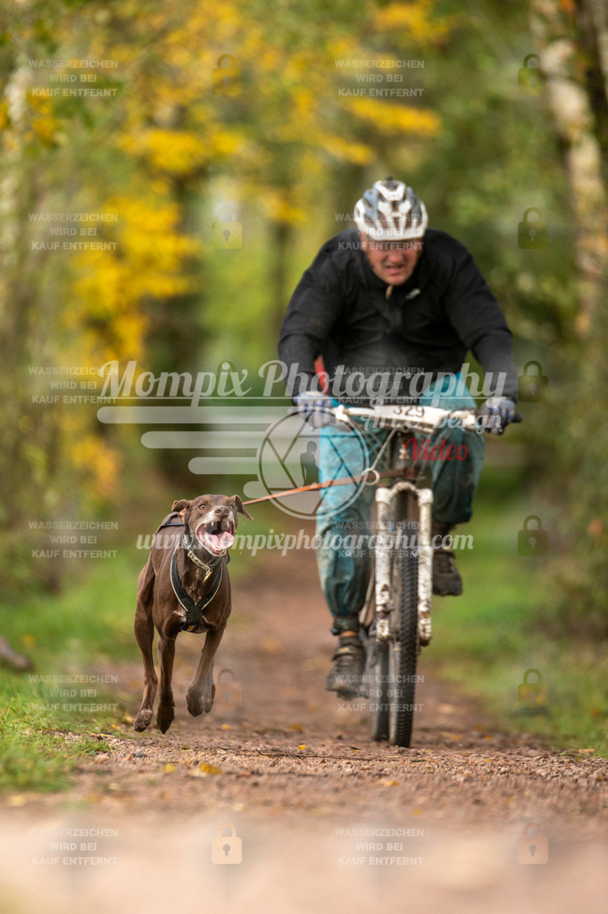 TSB_2023_E4_Bike-38 | PayLife