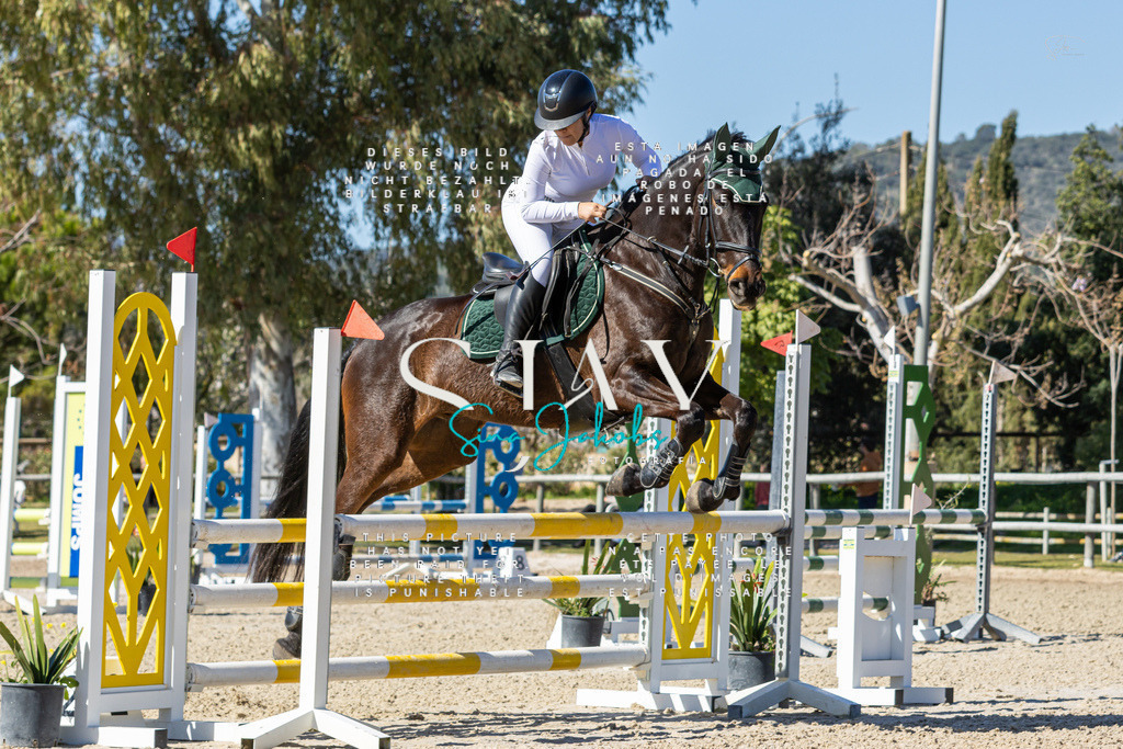 IMG_0099 | s-jay-photography - Realisiert mit Pictrs.com