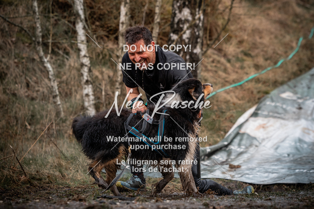 nelerasche_1300-1330_51 | nelerasche
