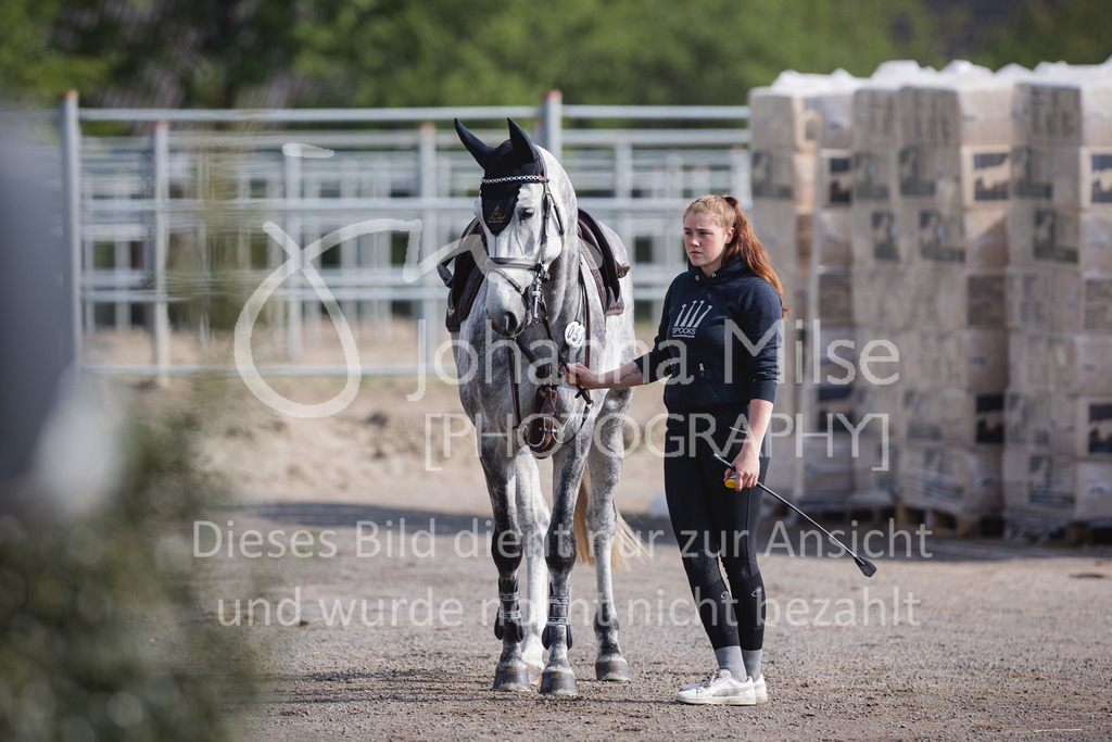 220426_Mühlen_SprPfA1-134 | Late Entry Mühlen
26.04.2022
01 Springpferde-A* 4-6j