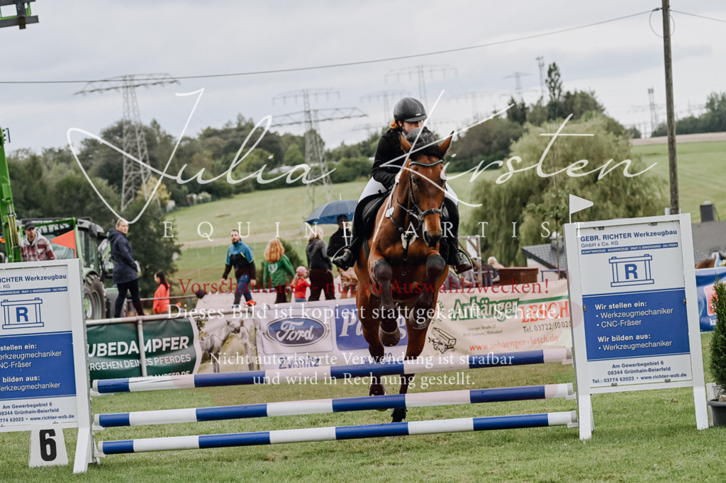 DSC_6869 | Pferde- und Turnierfotografie in Westsachsen. Pferdeportraits, Auftragszeichnungen und intuitive Kunst.