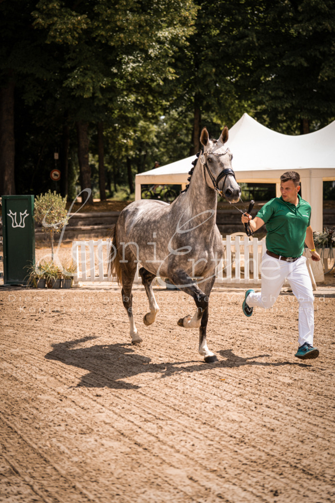 1.Fr00072 | Leoni Ertmer Photography - Realisiert mit Pictrs.com