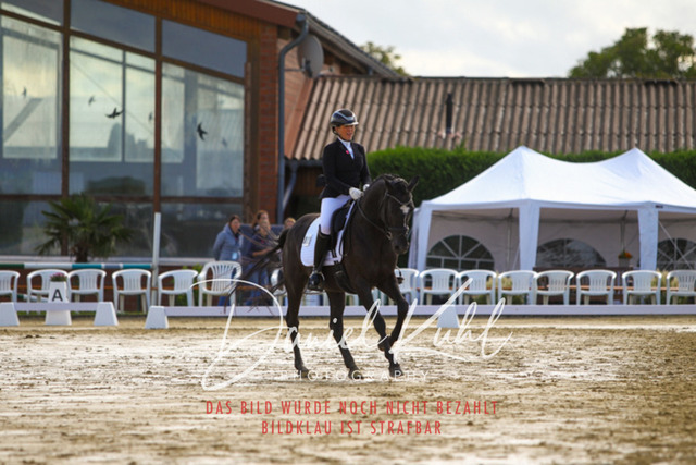 DKP43890 | Turniersportfotografie; Pferdefotografie; Dressurfotografie