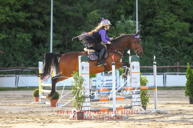 DKP45201 | Turnierfotos kaufen im Webshop von Daniel Kuhl Photography – entdecke professionelle Reitsportfotos aus Turnieren & Events. Hochwertige Turnierbilder online bestellen & sichern. Jetzt Fotos von Reitsportturnieren kaufen!