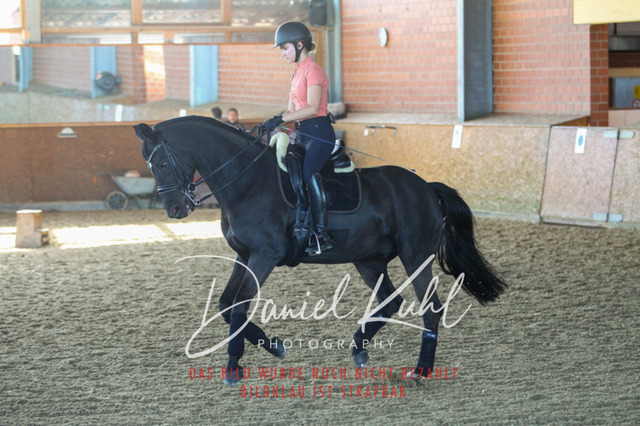 DKP42298 | Turniersportfotografie; Pferdefotografie; Dressurfotografie