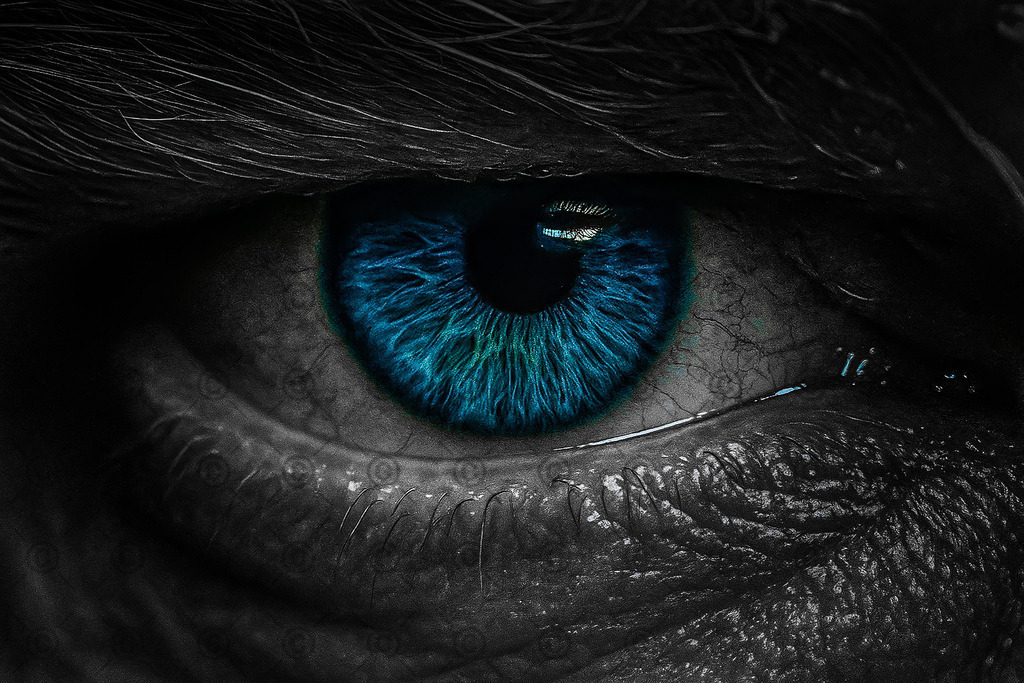 file_0000000064a861f4a8d5f96d00c354ae (1) | Photoworxx - Realisiert mit Pictrs.com