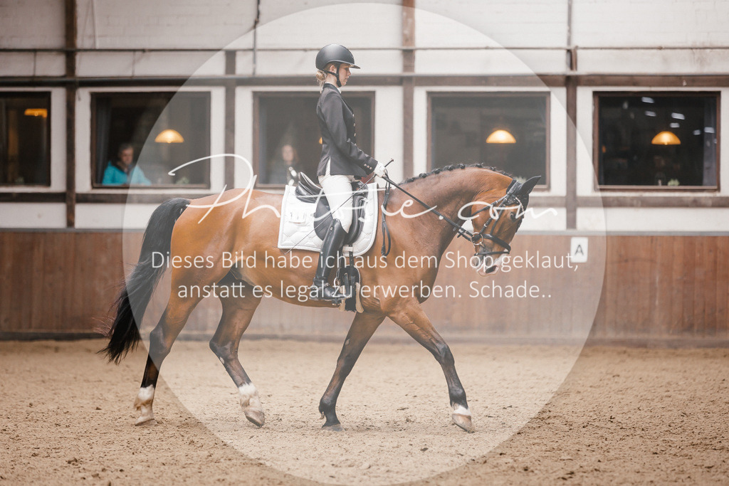 3I6A7371 | Stimmungsvolle Portraits und Reitsportfotografie im Ruhrgebiet und im Münsterland.

Pferdefotografie, Hundefotografie, Tierfotografie, Reportagen, Portraits von Tier und Mensch, Turnierfotografie in Bochum, Recklinghausen, Marl, Haltern am See, Dülmen.. - Realisiert mit Pictrs.com