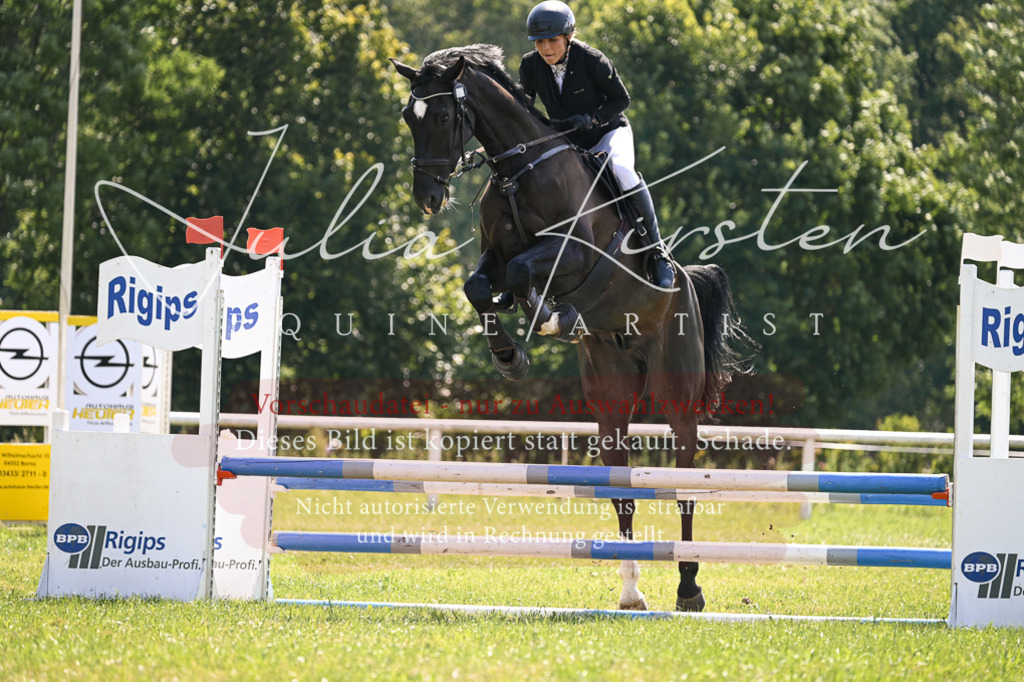 DSC_8945 | Pferde- und Turnierfotografie in Westsachsen. Pferdeportraits, Auftragszeichnungen und intuitive Kunst.