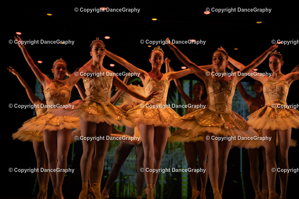 GPHY5301 | DanceGraphy - Realisiert mit Pictrs.com